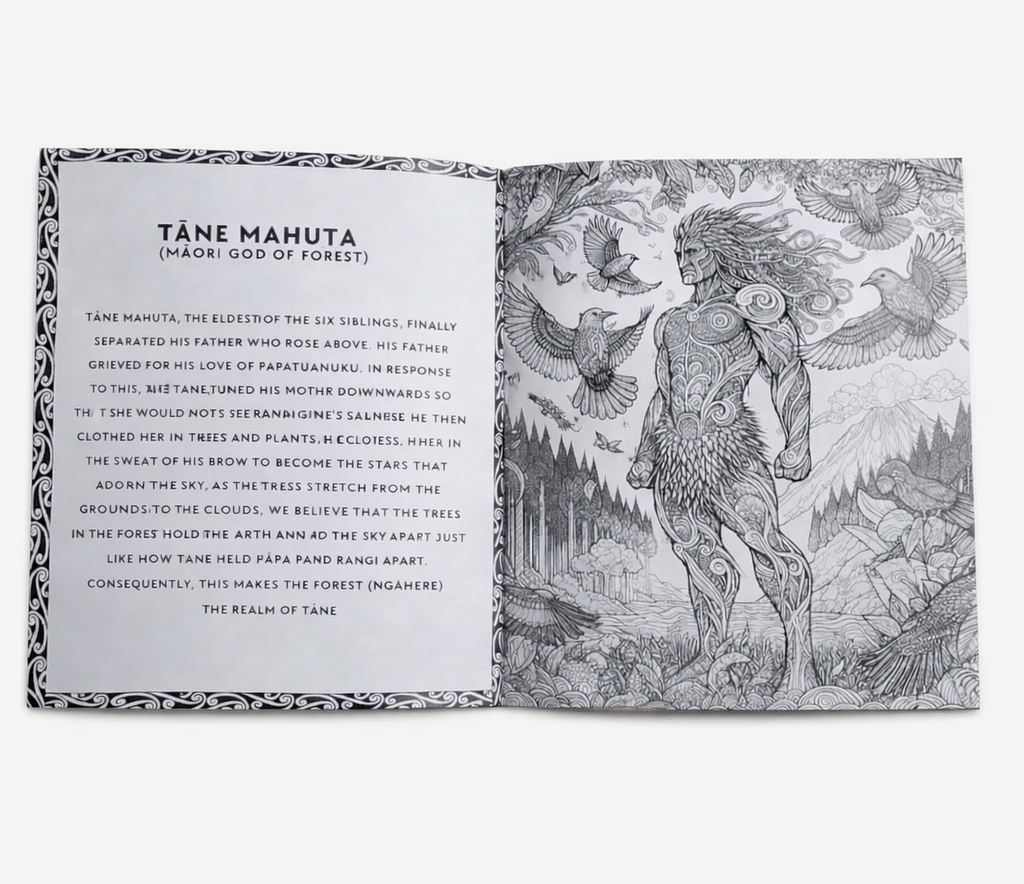Te Ao Mārama Colouring-in book